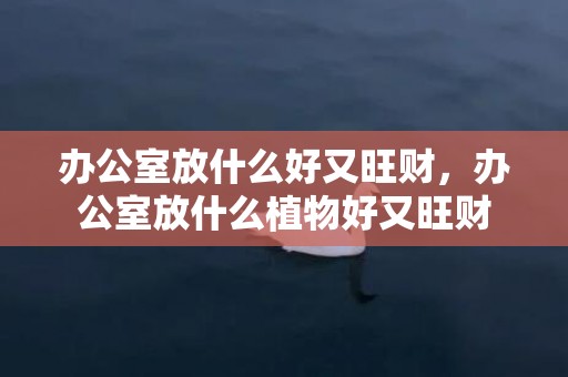 办公室放什么好又旺财，办公室放什么植物好又旺财