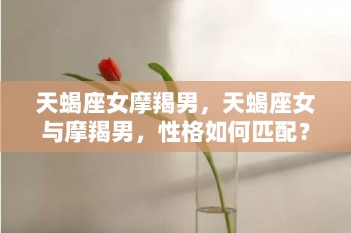 天蝎座女摩羯男，天蝎座女与摩羯男，性格如何匹配？