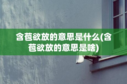 含苞欲放的意思是什么(含苞欲放的意思是啥)