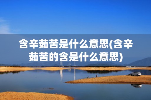 含辛茹苦是什么意思(含辛茹苦的含是什么意思)