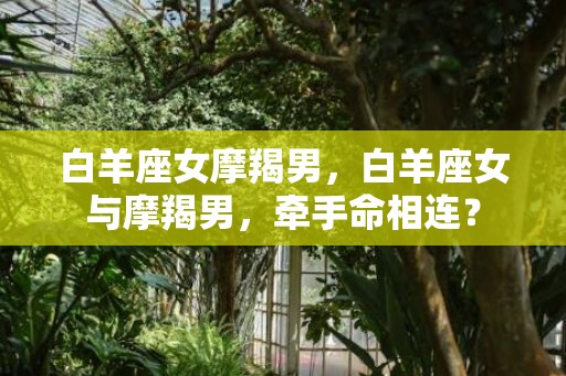 白羊座女摩羯男，白羊座女与摩羯男，牵手命相连？