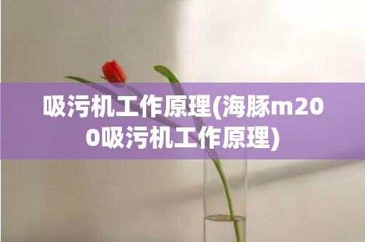 吸污机工作原理(海豚m200吸污机工作原理)