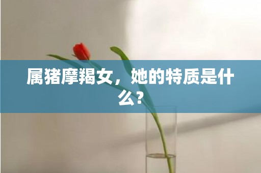 属猪摩羯女，她的特质是什么？