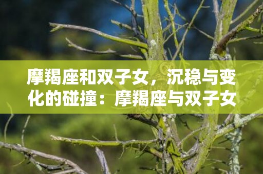 摩羯座和双子女，沉稳与变化的碰撞：摩羯座与双子女的奇幻之旅？