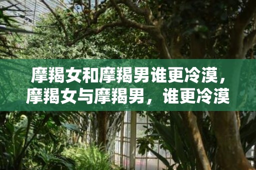 摩羯女和摩羯男谁更冷漠，摩羯女与摩羯男，谁更冷漠？