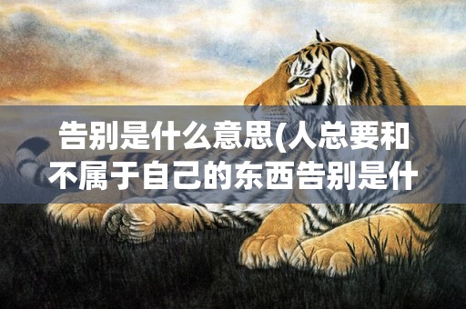 告别是什么意思(人总要和不属于自己的东西告别是什么意思)
