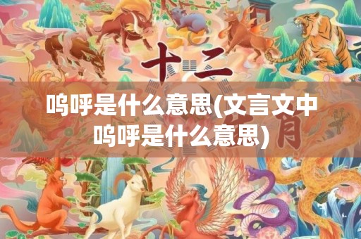 呜呼是什么意思(文言文中呜呼是什么意思)