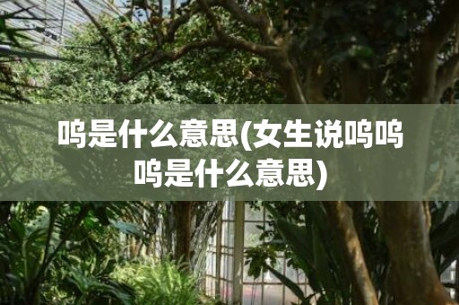 呜是什么意思(女生说呜呜呜是什么意思)
