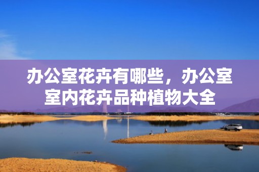 办公室花卉有哪些，办公室室内花卉品种植物大全