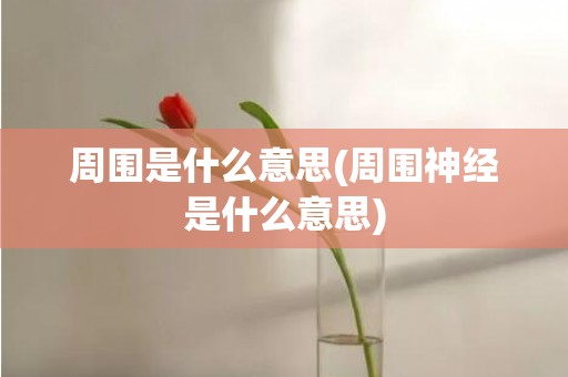 周围是什么意思(周围神经是什么意思)