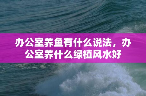 办公室养鱼有什么说法，办公室养什么绿植风水好