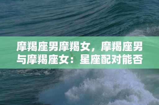 摩羯座男摩羯女，摩羯座男与摩羯座女：星座配对能否事业有成？
