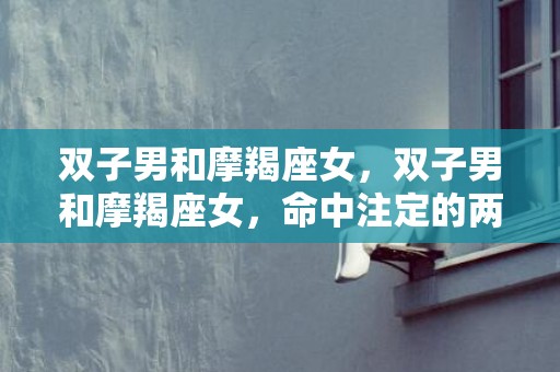 双子男和摩羯座女，双子男和摩羯座女，命中注定的两情相悦？