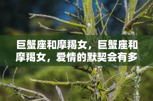 巨蟹座和摩羯女，巨蟹座和摩羯女，爱情的默契会有多深?