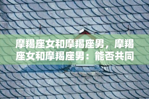 摩羯座女和摩羯座男，摩羯座女和摩羯座男：能否共同攀登事业高峰？