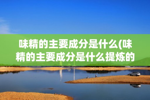 味精的主要成分是什么(味精的主要成分是什么提炼的)
