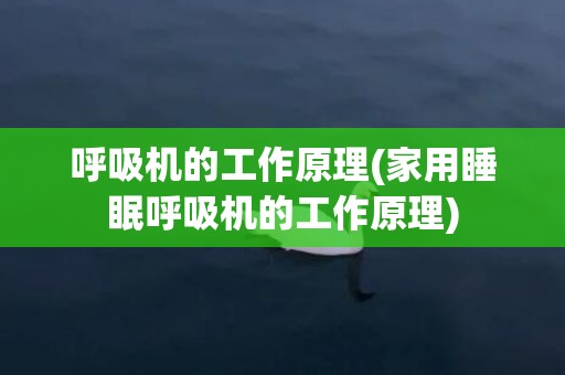 呼吸机的工作原理(家用睡眠呼吸机的工作原理)