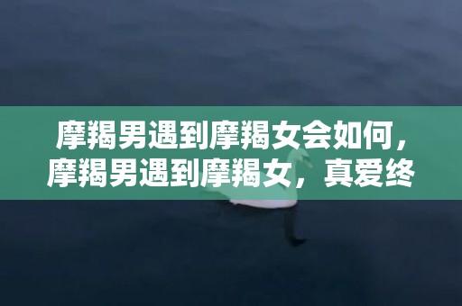 摩羯男遇到摩羯女会如何，摩羯男遇到摩羯女，真爱终成永恒吗？