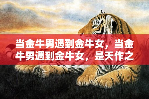 当金牛男遇到金牛女，当金牛男遇到金牛女，是天作之合吗？