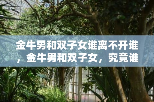 金牛男和双子女谁离不开谁，金牛男和双子女，究竟谁离不开谁？